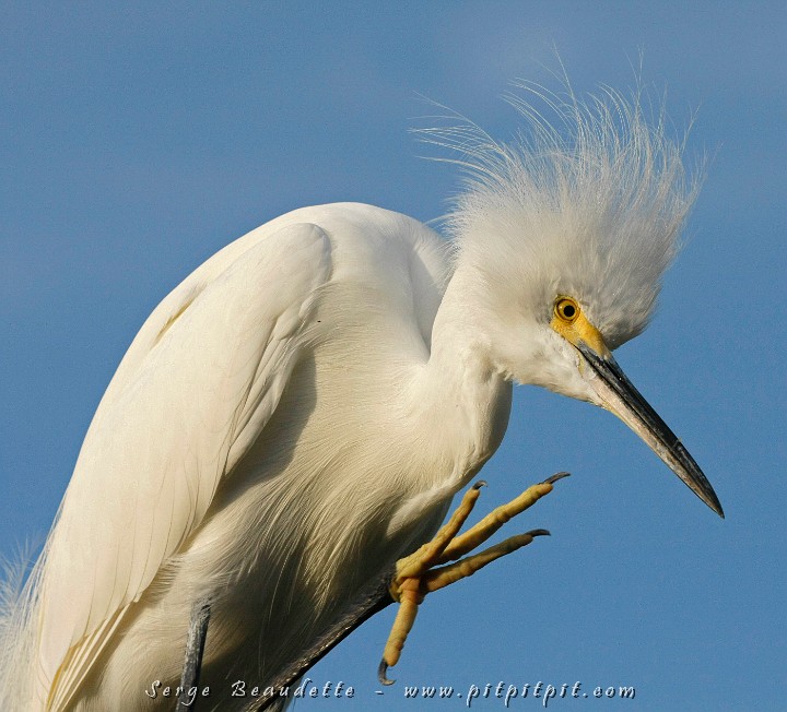 2009-01-11 16-30-08__MG_2805.JPG